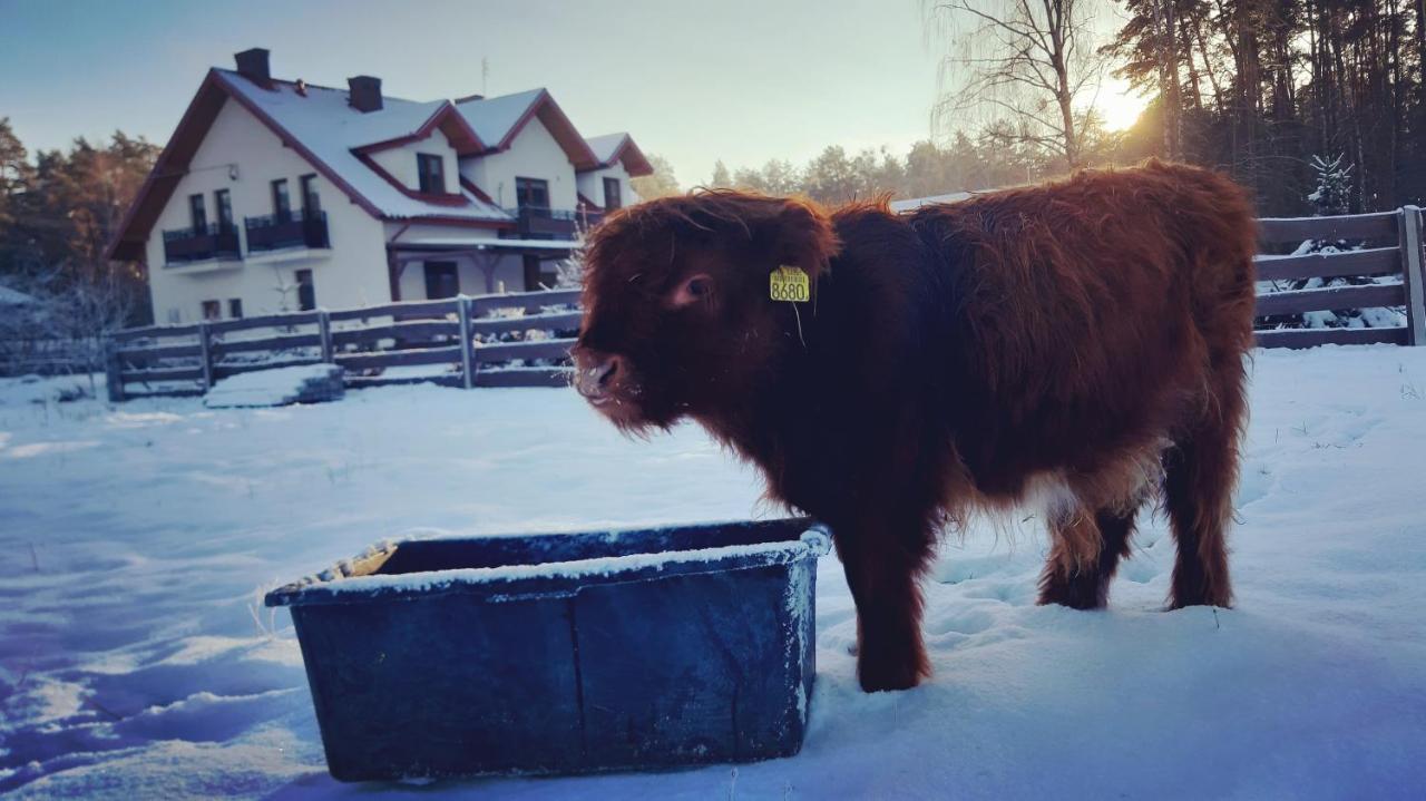 Zagroda Jakubka Myszyniec エクステリア 写真